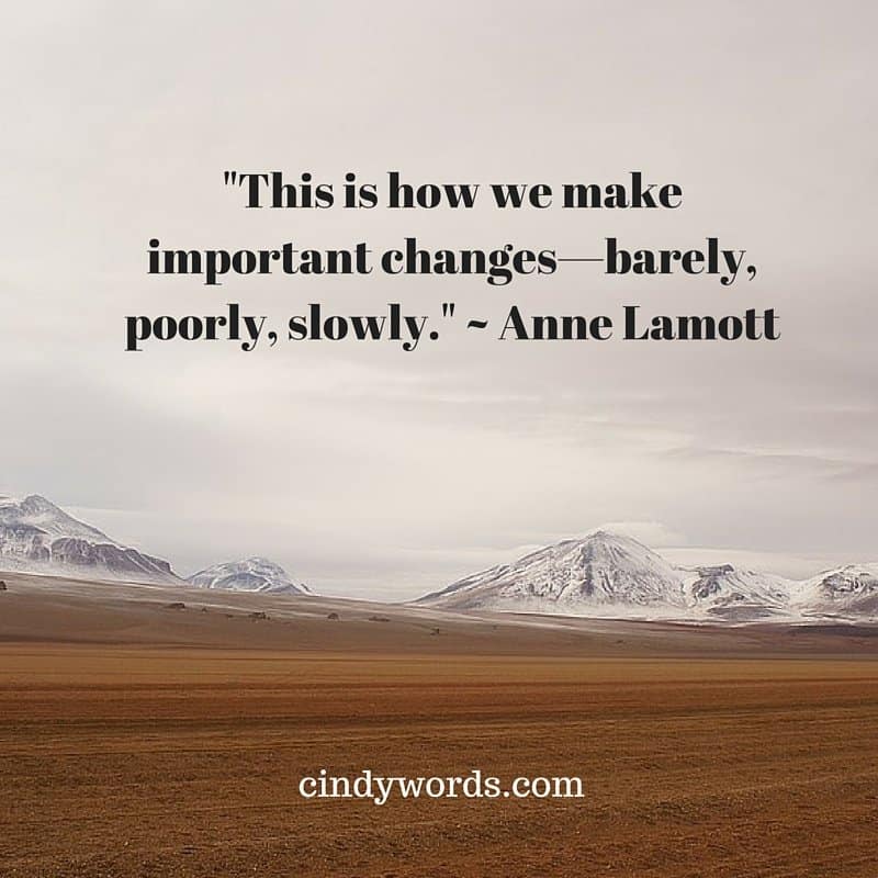-This is how we make important changes—barely, poorly, slowly.- - Anne Lamott