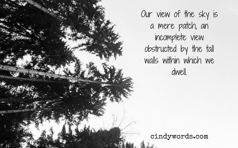 Our view of the sky is a mere patch, an incomplete view obstructed by the tall walls within which we dwell.
