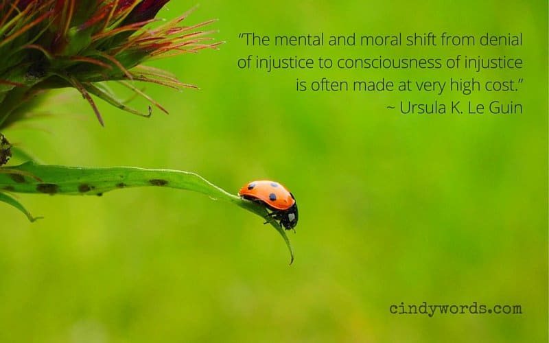 “The mental and moral shift from denial of injustice to consciousness of injustice is often made at very high cost.”